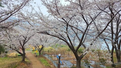 남파랑길22코스 사진 9