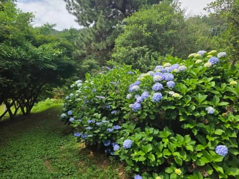 남파랑길15코스 사진 6
