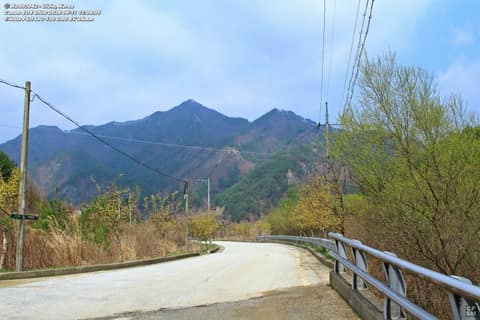 낙동강세평하늘길(양원역-승부역) 사진 3