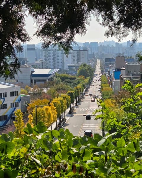인천둘레길1코스(계양산) 사진 7
