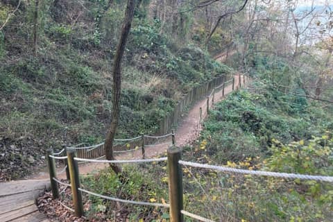 경기둘레길안산51코스 사진 5