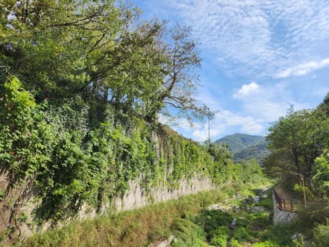 남파랑길9코스 사진 7