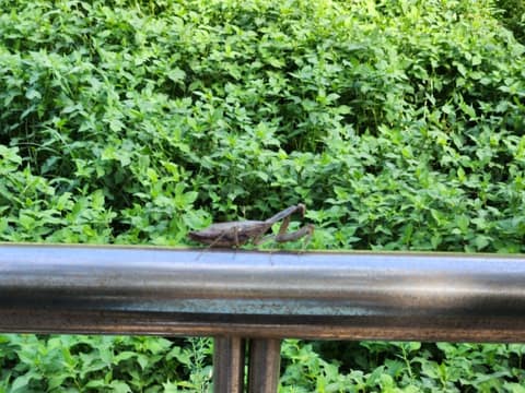 남파랑길9코스 사진 8
