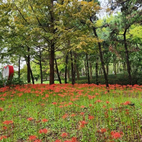시흥늠내길2코스갯골길 사진 10