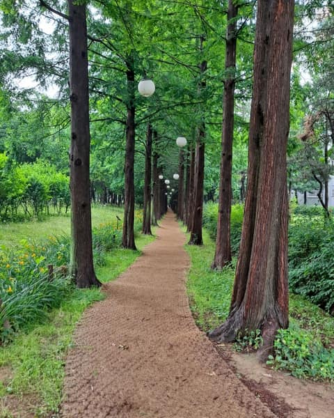 시흥늠내길4코스바람길 사진 1