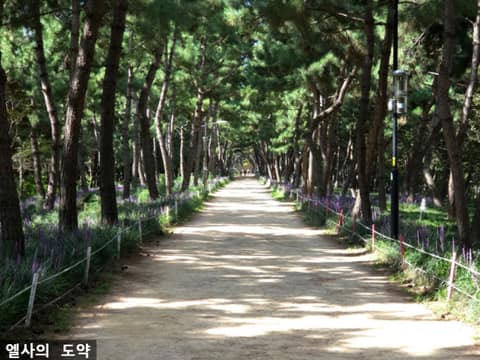 시흥늠내길4코스바람길 사진 3