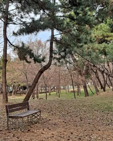 시흥늠내길4코스바람길 사진 5