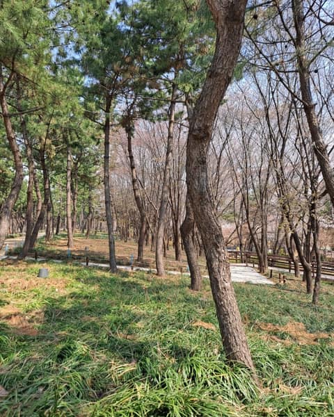 시흥늠내길4코스바람길 사진 6
