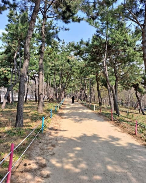 시흥늠내길4코스바람길 사진 7