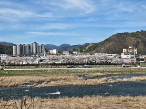평창남산둘레길 사진 8