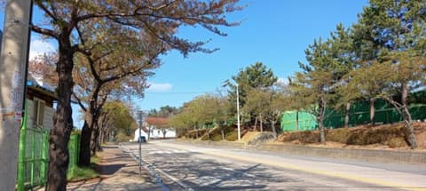 오랍드리산소길해변길 사진 5