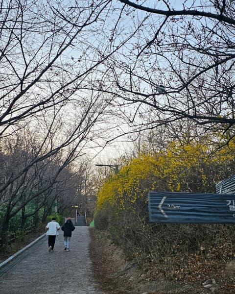 북한산둘레길4구간(솔샘길) 사진 8