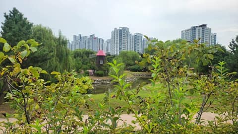DMZ평화의길4코스 사진 2