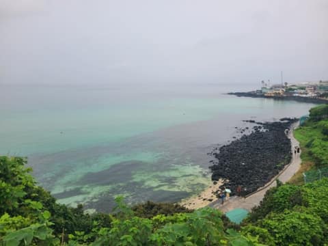 장한철산책로 사진 3