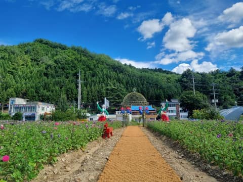 진뚜루마중길 사진 2