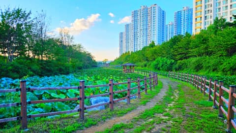 서해랑길93코스 사진 2