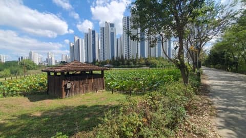 서해랑길93코스 사진 9