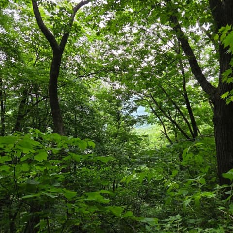 경기둘레길가평18코스 사진 6