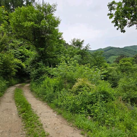 경기둘레길가평18코스 사진 8