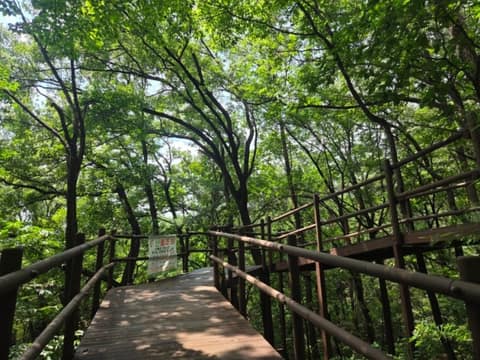 북한산둘레길2구간(순례길) 사진 2