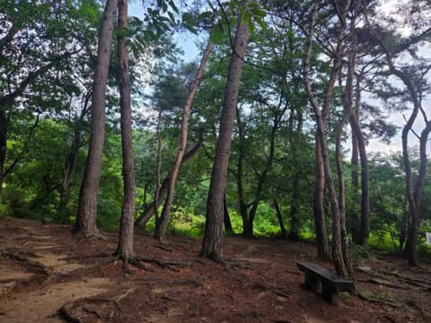 북한산둘레길2구간(순례길) 사진 9