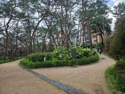 북한산둘레길2구간(순례길) 사진 10