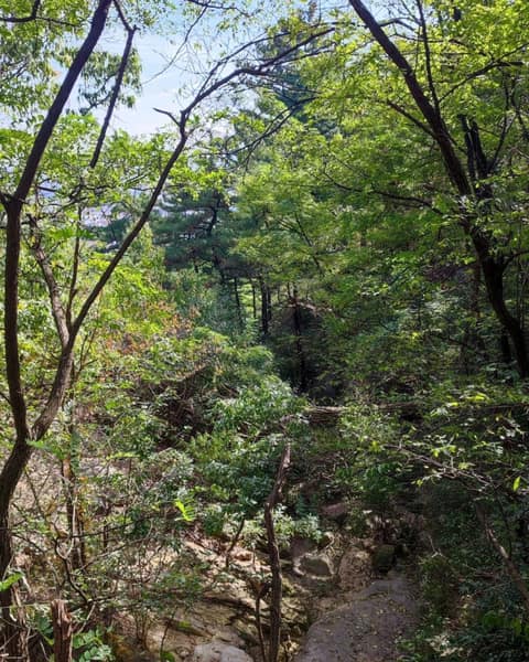 북악산길산책로 사진 4