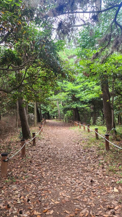 서해랑길46코스 사진 1