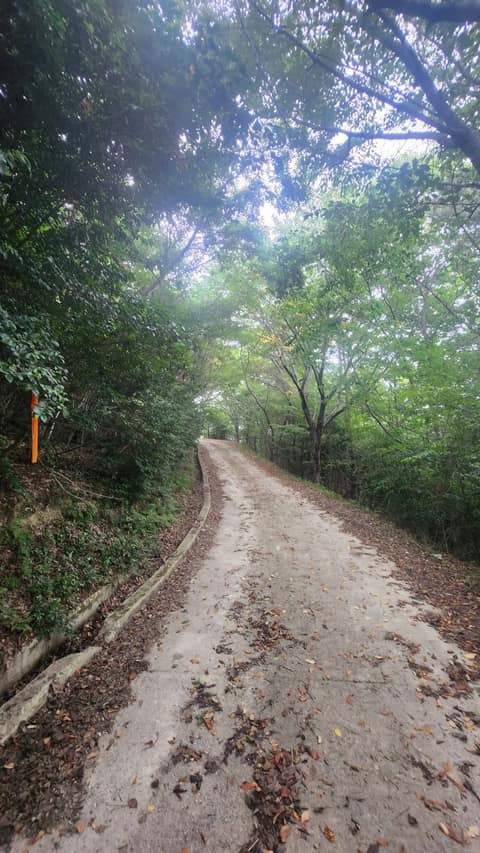 서해랑길46코스 사진 8
