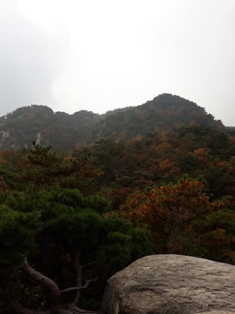 북한산둘레길3구간(흰구름길) 사진 4