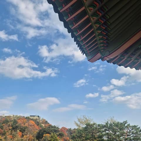 북악산길산책로 사진 4