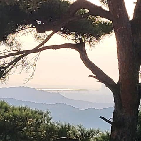 북악산길산책로 사진 6