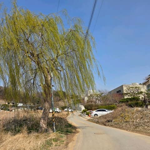 경기둘레길파주5코스 사진 8