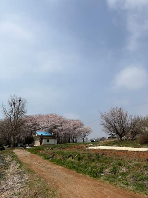 경기둘레길화성47코스 사진 2