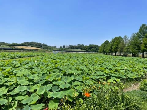 경기옛길봉화길9길(설성산길) 사진 7