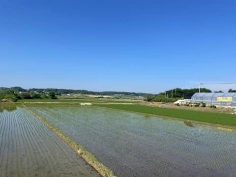 경기옛길봉화길9길(설성산길) 사진 8