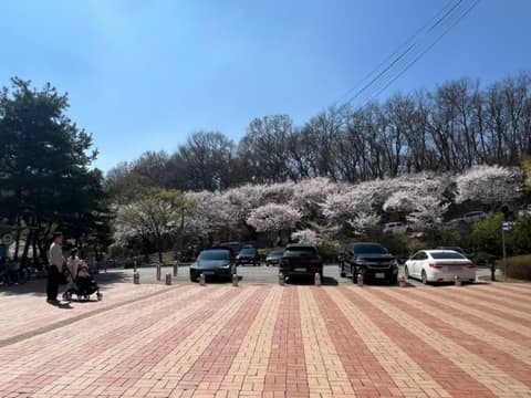 부락산둘레길3코스(벚꽃길) 사진 4