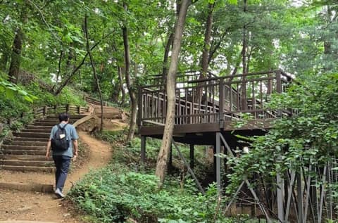 서울둘레길10코스(우면산) 사진 8