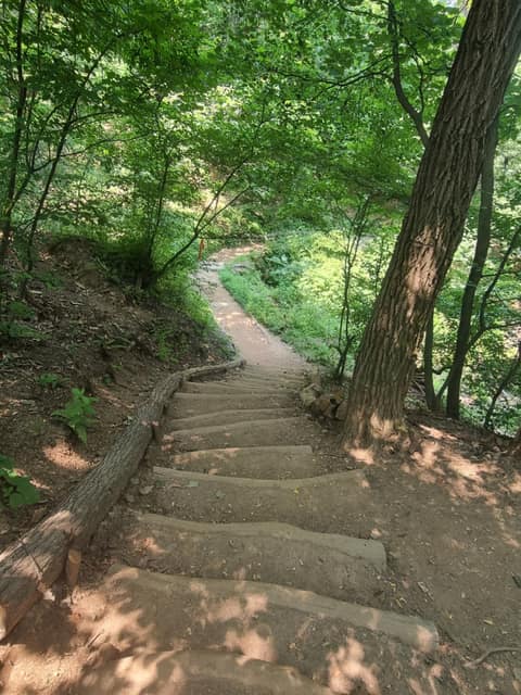 서울둘레길9코스(대모구룡산) 사진 3