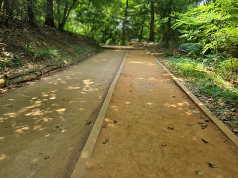 서울둘레길9코스(대모구룡산) 사진 5