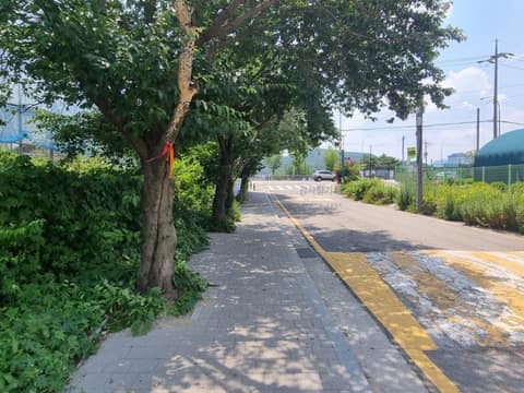서울둘레길9코스(대모구룡산) 사진 9