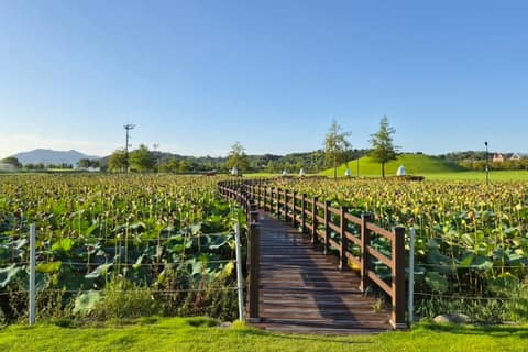 남도삼백리길8코스(동천길) 사진 3