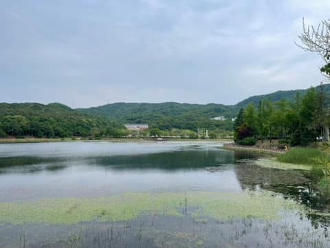 경기옛길봉화길7길(세종효종길) 사진 8