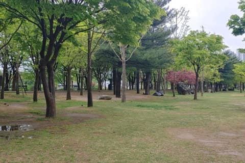 봄내길4코스(의암호나들길) 사진 1