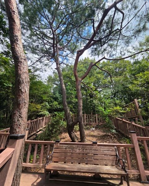 성남누비길2코스(검단산길) 사진 3