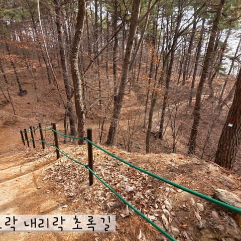 보훈둘레길초록길 사진 1