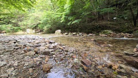 전북천리길강천산길 사진 1