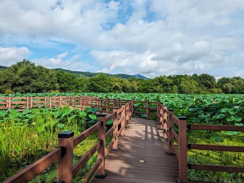 경안천누리길 사진 6
