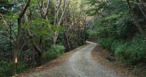 남파랑길8코스 사진 6