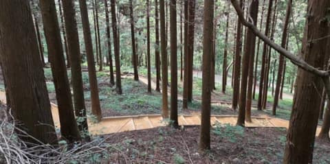 남파랑길8코스 사진 7